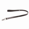 A Guide to Collars and Leashes for Sexual Pleasure and Exploration